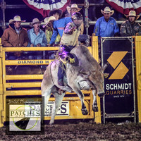 QueanbeyanRodeo2018_1730