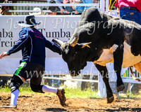 TumbarumbaRodeo2024_0675
