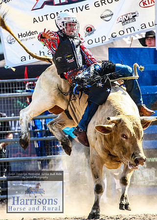 MoruyaRodeo2019_3262