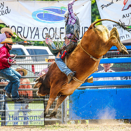 MoruyaRodeo2019_2435