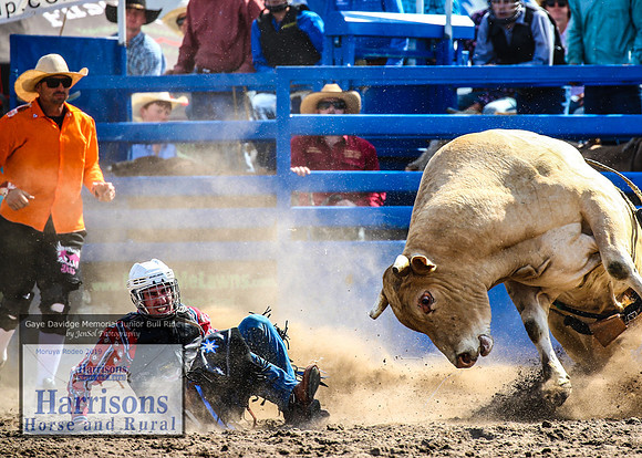 MoruyaRodeo2019_3285