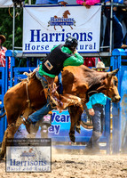 MoruyaRodeo2019_2496