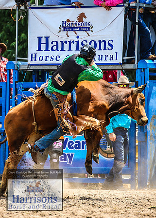 MoruyaRodeo2019_2496