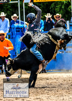 MoruyaRodeo2019_2569