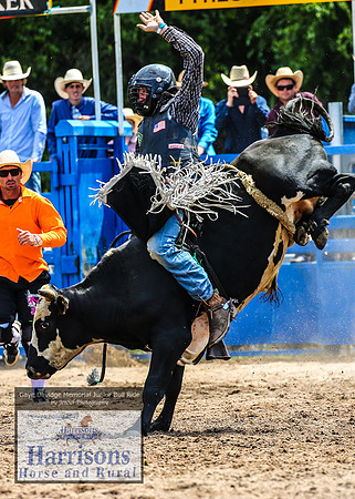 MoruyaRodeo2019_2569