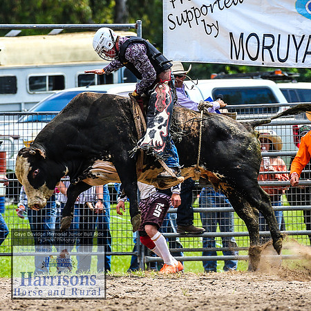 MoruyaRodeo2019_2403