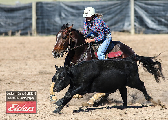 GoulburnCampdraft2019_3260