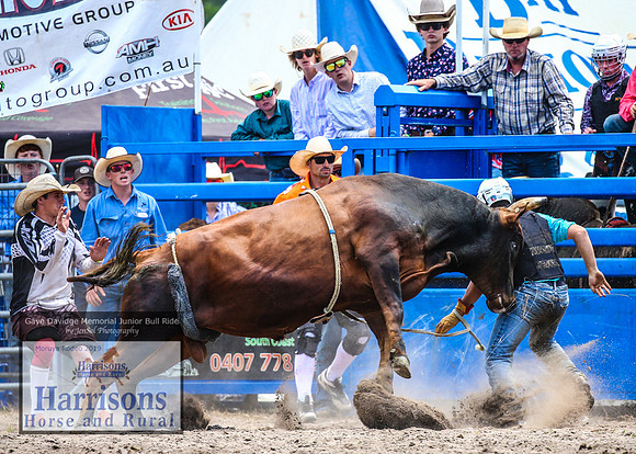 MoruyaRodeo2019_2378