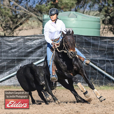 GoulburnCampdraft2019_3038
