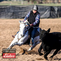 GoulburnCampdraft2019_2882