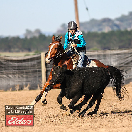 GoulburnCampdraft2019_2995