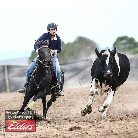 GoulburnCampdraft2019_5164