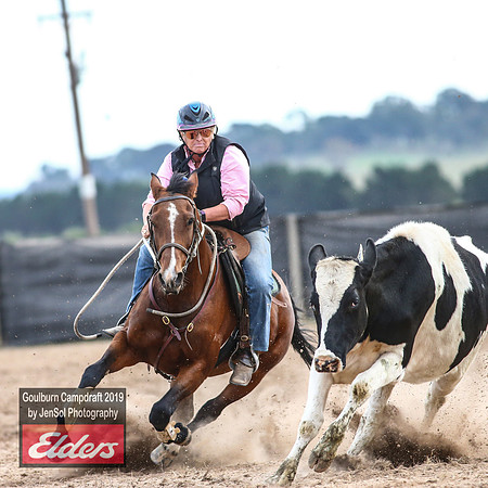 GoulburnCampdraft2019_5042