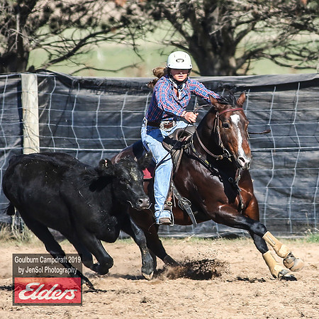 GoulburnCampdraft2019_3307
