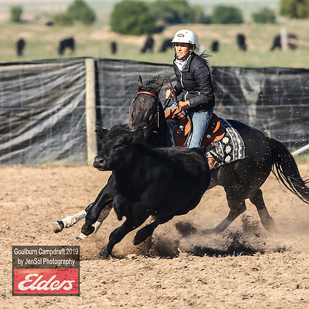 GoulburnCampdraft2019_3228