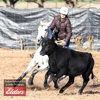 GoulburnCampdraft2019_2868