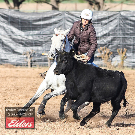 GoulburnCampdraft2019_2868