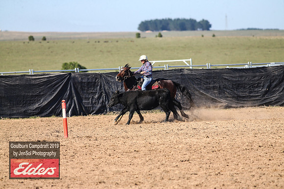 GoulburnCampdraft2019_3332