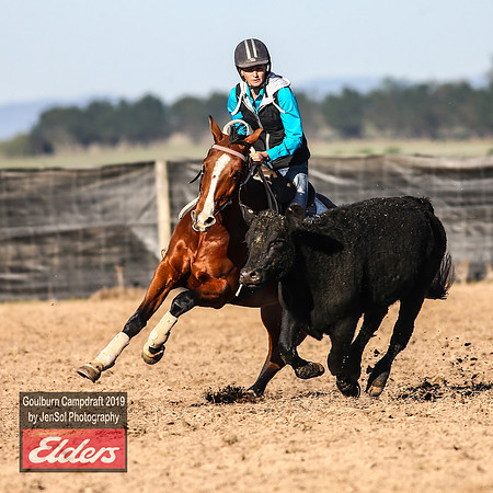 GoulburnCampdraft2019_2990