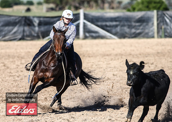 GoulburnCampdraft2019_3366