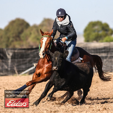 GoulburnCampdraft2019_3088