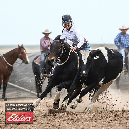 GoulburnCampdraft2019_5095