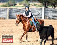 GoulburnCampdraft2019_2805