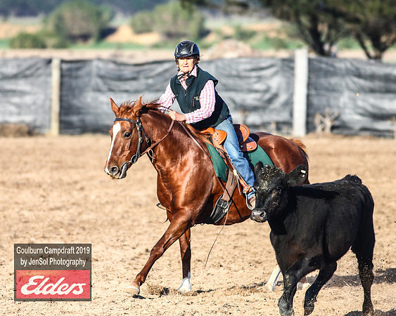 GoulburnCampdraft2019_2805