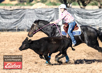 GoulburnCampdraft2019_2840