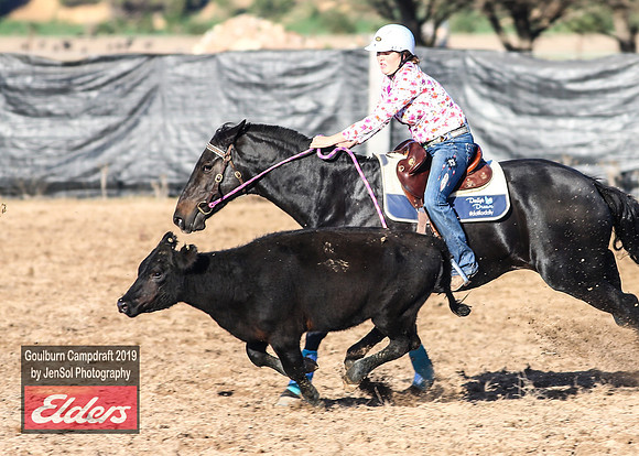 GoulburnCampdraft2019_2840