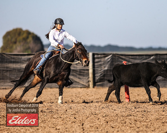 GoulburnCampdraft2019_3049