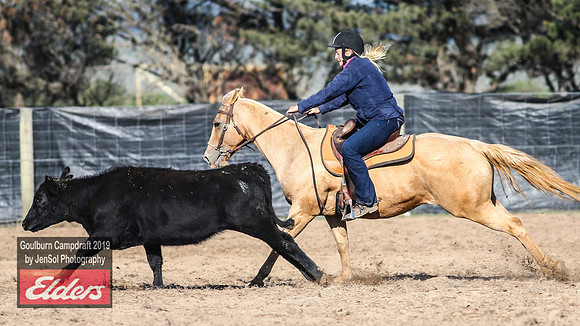GoulburnCampdraft2019_3130