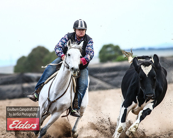 GoulburnCampdraft2019_5114