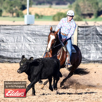 GoulburnCampdraft2019_2862