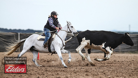 GoulburnCampdraft2019_5137