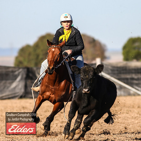 GoulburnCampdraft2019_2976