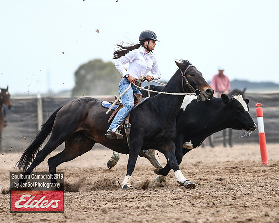 GoulburnCampdraft2019_5106