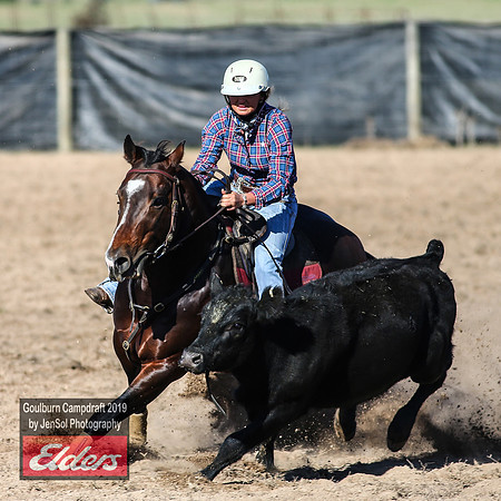 GoulburnCampdraft2019_3263