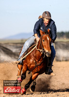 GoulburnCampdraft2019_2903
