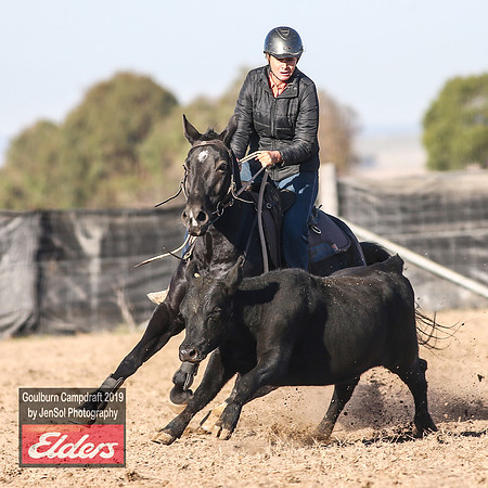 GoulburnCampdraft2019_3017