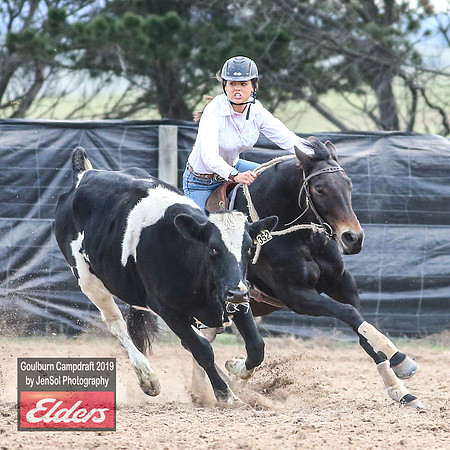GoulburnCampdraft2019_5081