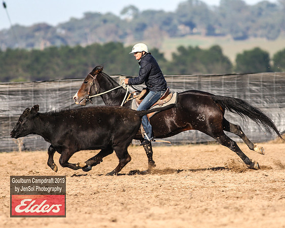 GoulburnCampdraft2019_3060
