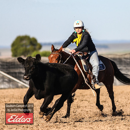 GoulburnCampdraft2019_2982