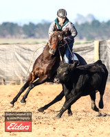 GoulburnCampdraft2019_2790