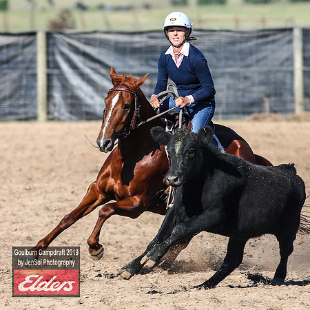 GoulburnCampdraft2019_3349