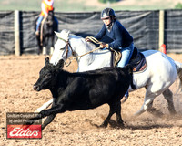 GoulburnCampdraft2019_2832