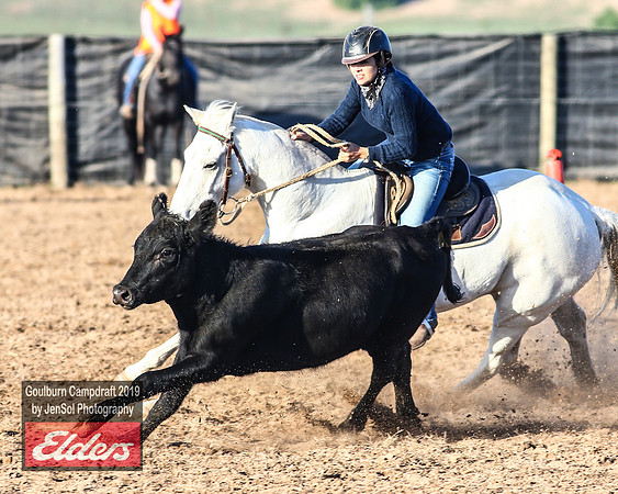 GoulburnCampdraft2019_2832