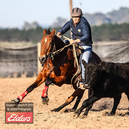 GoulburnCampdraft2019_2910