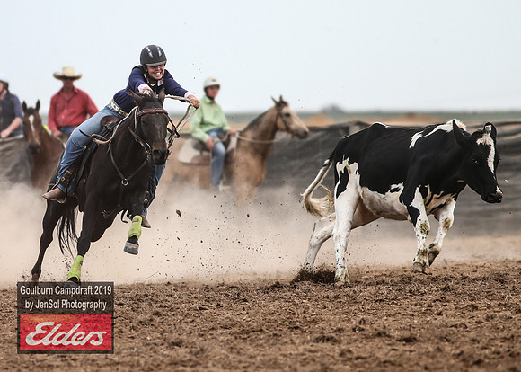 GoulburnCampdraft2019_5177