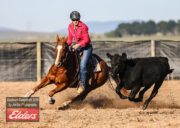 GoulburnCampdraft2019_3022
